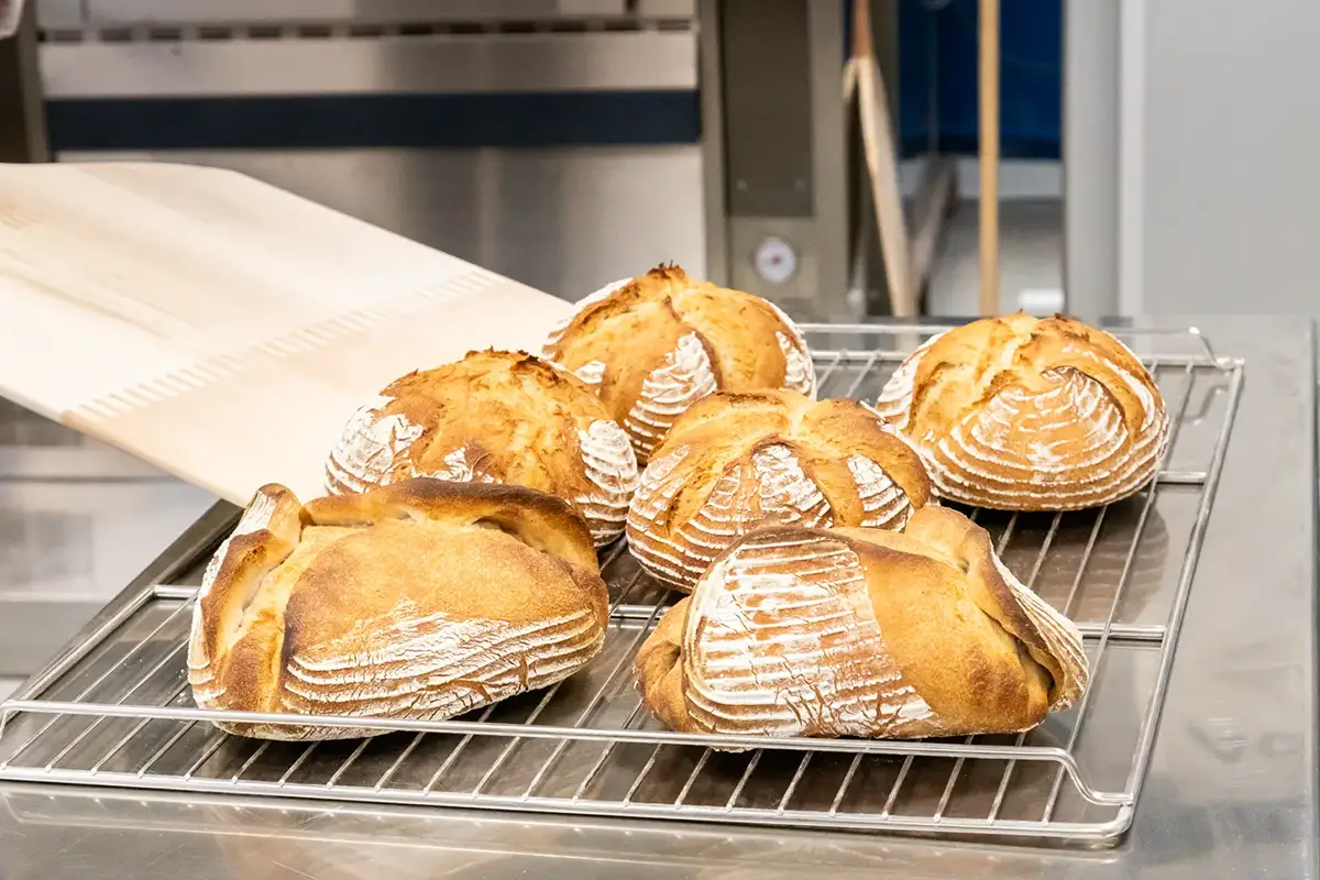 Fotografía de hogazas de pan salidas del horno